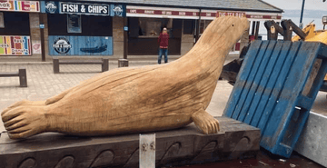 Bonzo the Seal: A Filey Landmark