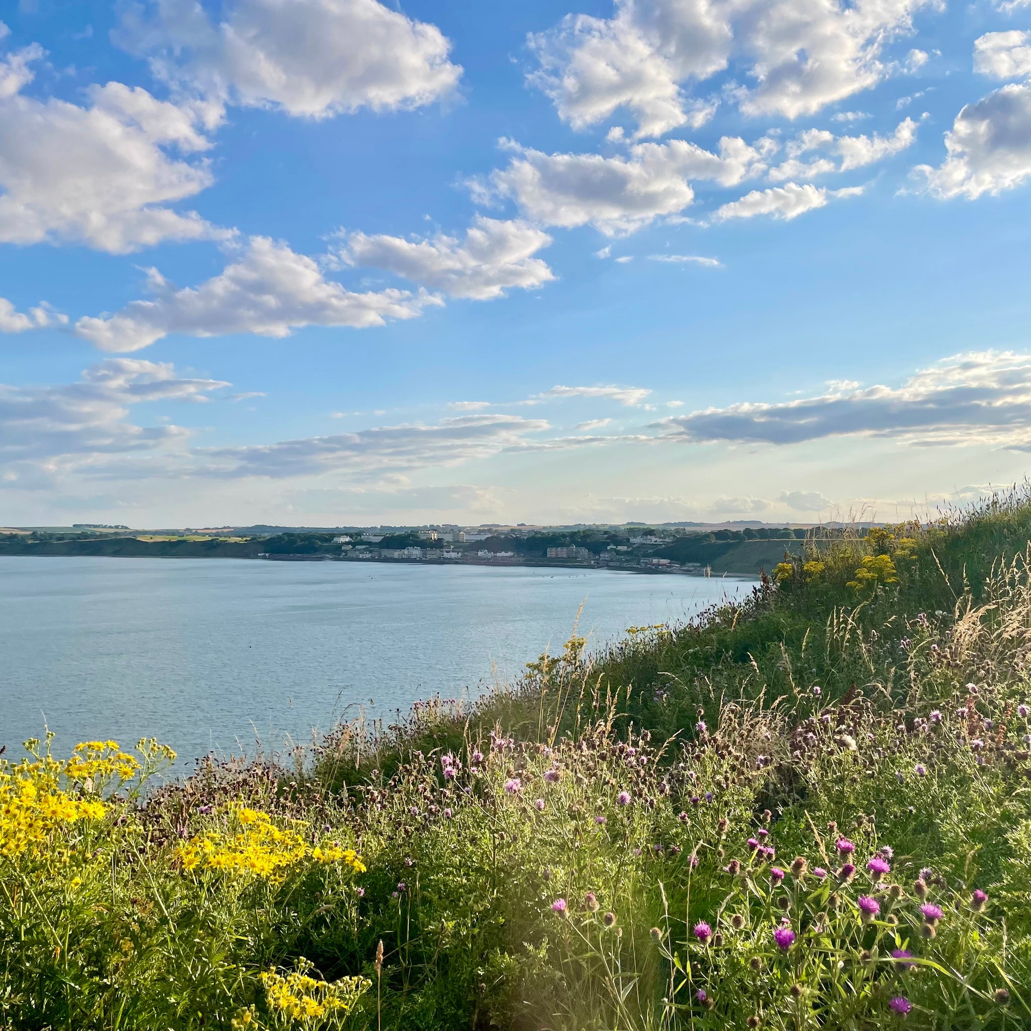 filey coast 