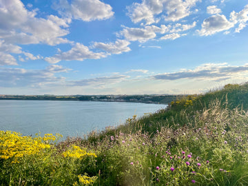 filey coast 